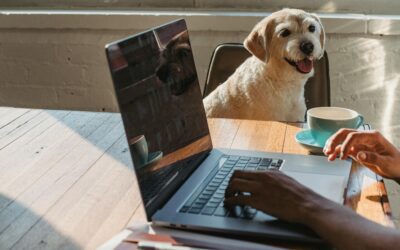 How to Get More Clients from Social Media as a Leadership Coach